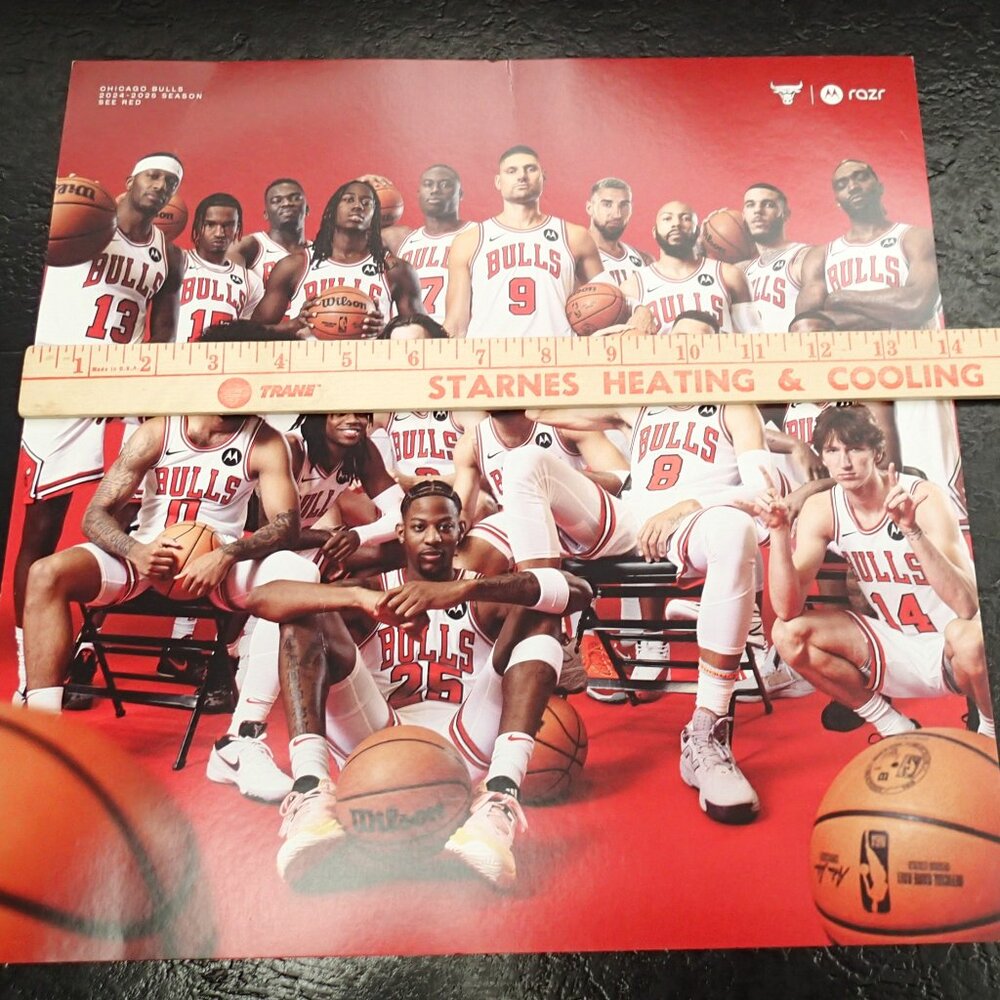 Chicago Bulls 2024-2025 Season Poster